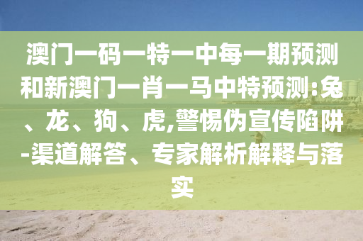 澳門一碼一特一中每一期預(yù)測,大三巴一肖一碼一特是什么,詳盡解答、專家解析解釋與落實(shí)?-謹(jǐn)防欺詐的假營銷霧